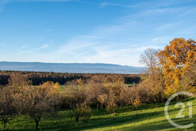 Maison à vendre - 6 pièces - 130 m2 - Perrignier - 74 - RHONE-ALPES