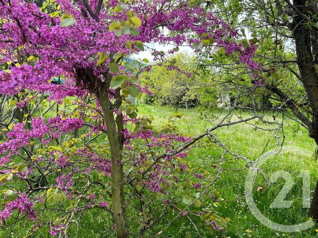 Terrain à vendre - 300 m2 - Bons En Chablais - 74 - RHONE-ALPES