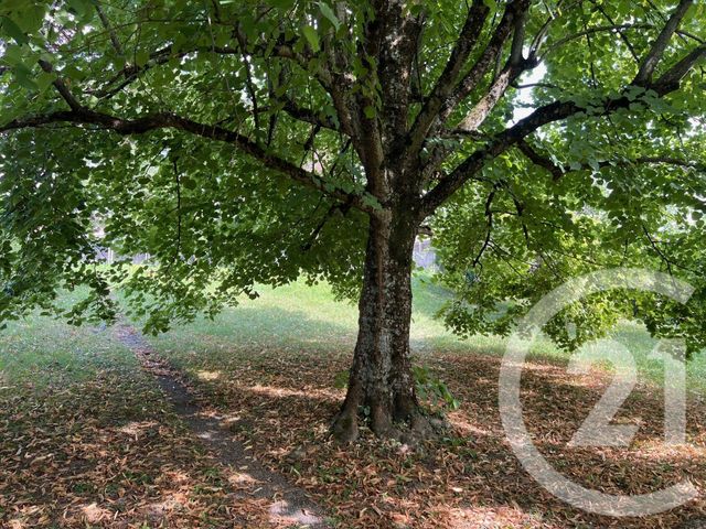 Maison à vendre - 5 pièces - 175 m2 - Loisin - 74 - RHONE-ALPES