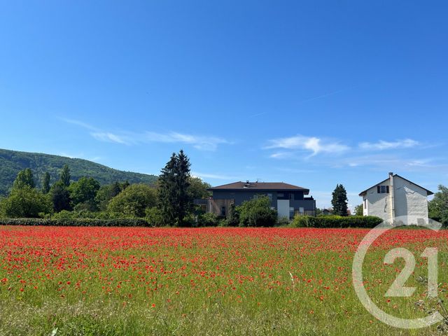 Appartement T3 &agrave; vendre - 3 pi&egrave;ces - 89,06 m2 - Sciez - 74 - RHONE-ALPES