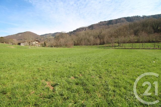 Terrain à vendre - 801 m2 - Cervens - 74 - RHONE-ALPES