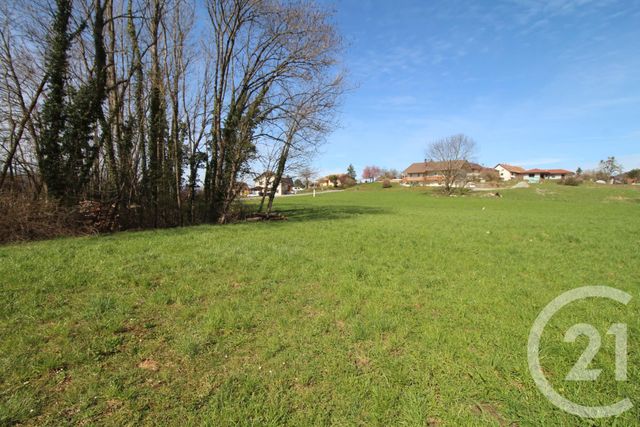 Terrain à vendre - 1134 m2 - Cervens - 74 - RHONE-ALPES